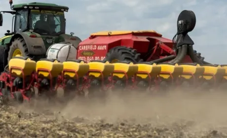 Родина Бушів успішно випробувала прецизійний посів і здолала засуху.