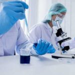 Китайські науковці виявили головний ген для протистояння килі капусти.