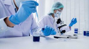 Китайські науковці виявили головний ген для протистояння килі капусти.