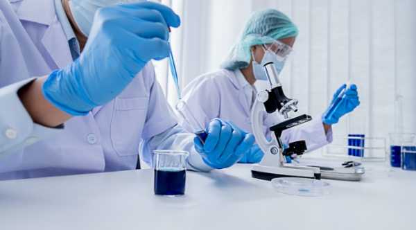 Китайські науковці виявили головний ген…