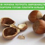 Вп’ятеро збільшимо випуск ліщини в Україні за п’ять років. Імпортери готові доплачувати за чудову якість.