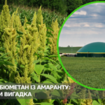 Авангардний біометан з щириці: реальність чи міф