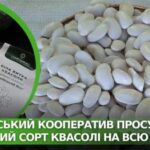 Львівська спілка поширює місцевий вид квасолі по всій Україні.