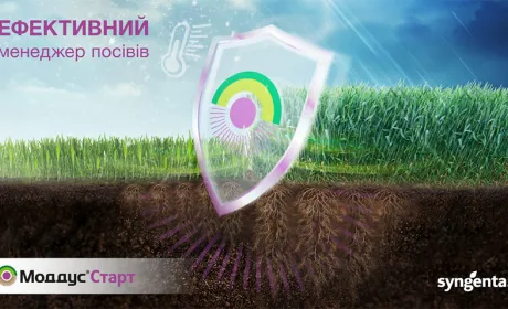 Вплив регуляторів росту на врожайність…