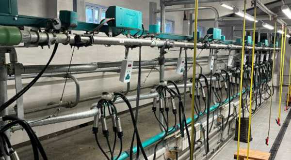 Відключення світла збільшили затрати на молочне виробництво, хоча ціни знижуються.