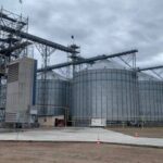 Екс-міністра економіки: агрофірма придбала “Кернел” Веревського. Що відомо?