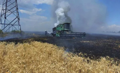 Аналіз сільського господарства України під…