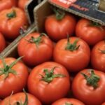 Зростання імпорту томатів та огірків в Україні до 2025 року — Delo.ua