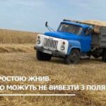 Загроза зупинки збору врожаю. Що заважає вивезти збіжжя?