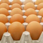 Українські яйця підкорюють світ: ріст експорту на 65% за рік