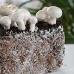 Клітинне землеробство: основа стабільної харчової системи майбутнього