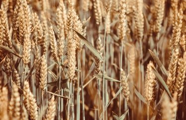 Знешкодження вибухівки на сільгоспугіддях: кількість схвалених українських робочих машин.