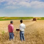 Уряд ініціює сільськогосподарське страхування: аграріям компенсують до 60%