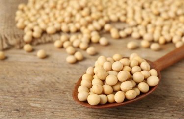 Брак і жорстка боротьба: чому вартість сої в Україні сягає небачених висот