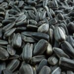 Український соняшник: ціна зросла до 31 тис. грн/тонна, аграрії не поспішають з реалізацією.