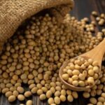 Соєві ціни в Україні зростають слідом за глобальним трендом — Delo.ua