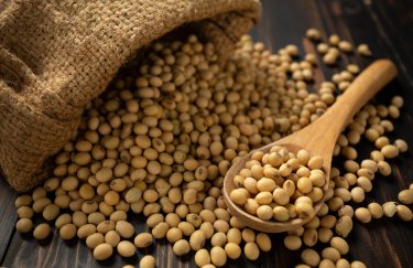 Соєві ціни в Україні зростають слідом за глобальним трендом — Delo.ua