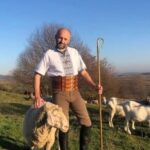 Українське вівчарство: мільярдні прибутки – втрачена можливість