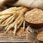 Очікується підвищення цін на пшеницю принаймні до середини березня.