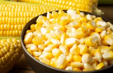 Український експорт зерна збільшується, вартість зростає