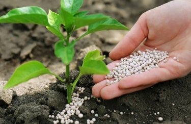 Дефіцит азотних добрив: брак селітри загрожує зниженням врожайності на 20%.