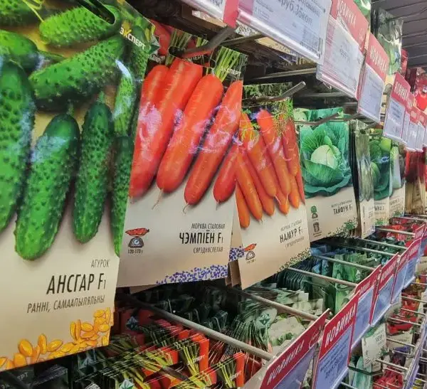 Сходи через 2 дні: як замочити насіння, щоб воно прокинулось&hellip;