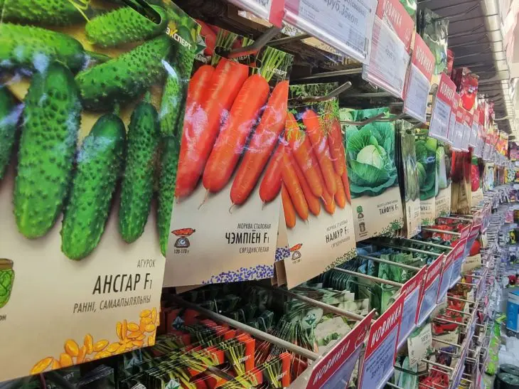 Сходи через 2 дні: як замочити насіння, щоб воно прокинулось миттєво