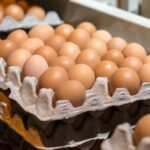 Річний стрибок цін на яйця – 11%