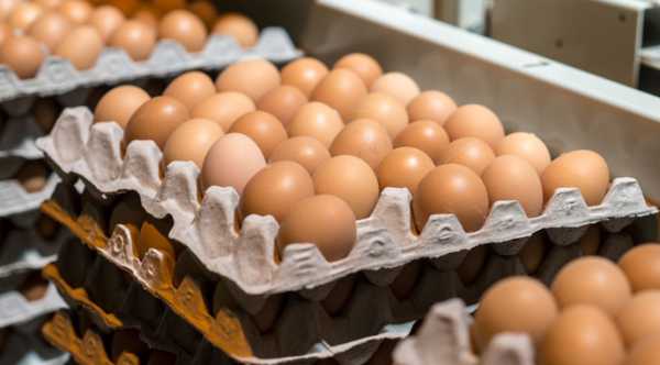 Річний стрибок цін на яйця – 11%