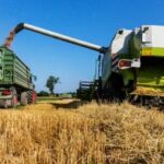 Аграрії в скруті: нестача працівників і оновлені критерії “важливості” ускладнюють…