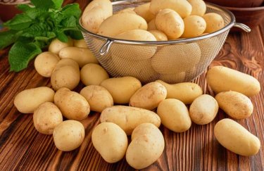 Українська картопля: ціни ростуть, аграрії прогнозують подальше подорожчання