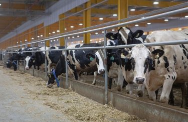 Аграрний сектор України в січні: лідери виробництва