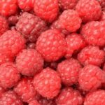 Український експорт малини обвалився у 2025: Польща досягла піку імпорту.