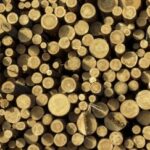 Мільярдні вливання у деревообробку з держбюджету, – депутатка