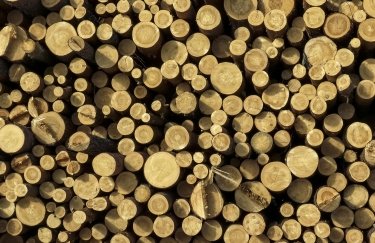 Мільярдні вливання у деревообробку з держбюджету, – депутатка