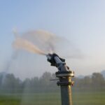 Одеська область: італійський грант на системи зрошення.