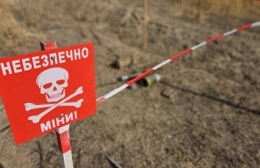 Кабмін полегшив відновлення обробки замінованих агроземель.