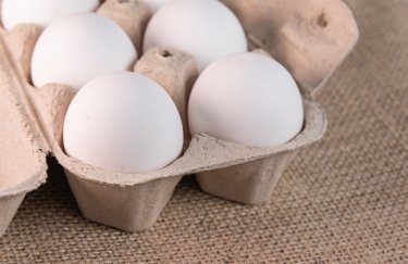 Січневий експорт яєць 2026 сягнув 187 мільйонів: основні покупці