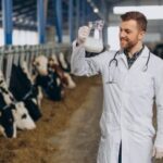 Українська молочна галузь благає ЄС про підтримку у зв’язку з глибокою кризою — Delo.ua