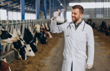 Українська молочна галузь благає ЄС про підтримку у зв’язку з глибокою кризою — Delo.ua