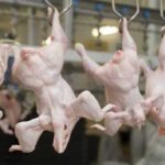 Молдова необґрунтовано зупинила ввезення курятини з України.