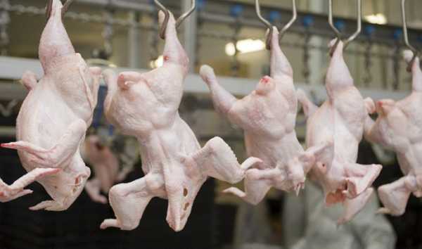 Молдова необґрунтовано зупинила ввезення курятини з України.