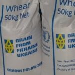 Пакистан отримав українську підтримку: 1850 тонн зерна для населення