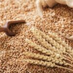 Український експорт борошна пшеничного знизиться на 2,6%