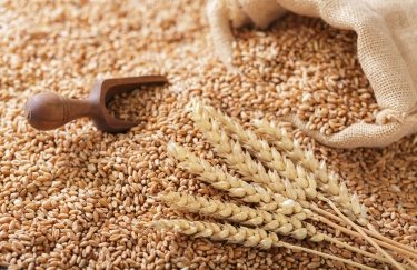 Український експорт борошна пшеничного знизиться на 2,6%