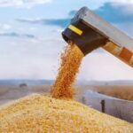 Кенія прийняла першу поставку харчів за програмою “Зерно з України”.