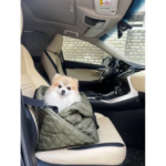 Комфортні подорожі з хвостиком: Як вибрати ідеальну сумку-переноску для собаки