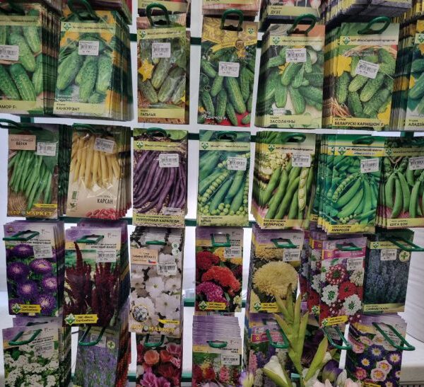 Як визначити якість насіння: залийте його окропом і дивіться на&hellip;