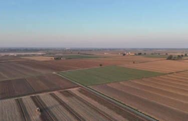 ГОЛОВНА 16 В Україні гектар землі коштує в середньому близько $1500.