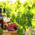 Україна дозволяє імпорт вина та алкоголю з Молдови за ліцензією.